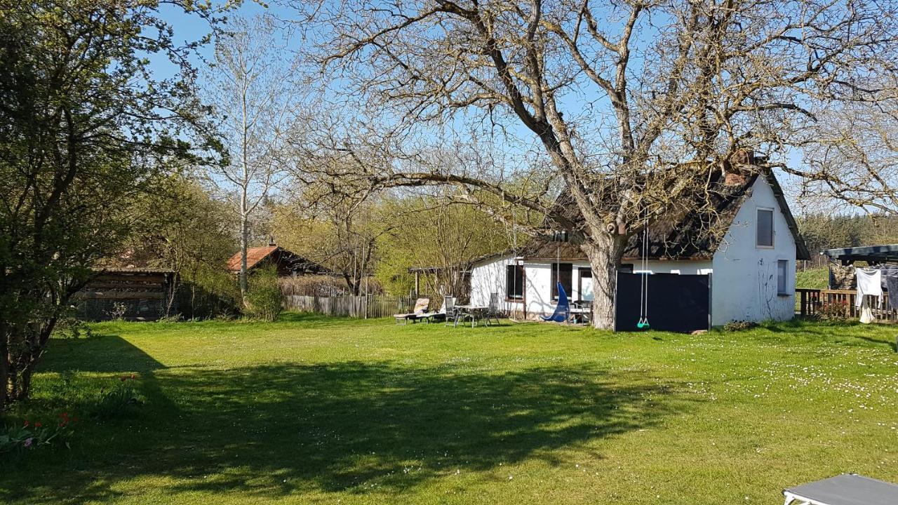 Ferienhaus Kunterbunt II Hitzacker Buitenkant foto